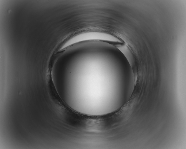 X0000088480160200705291634