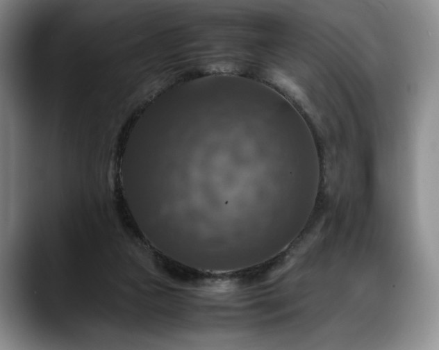 X0000088480161200705291634