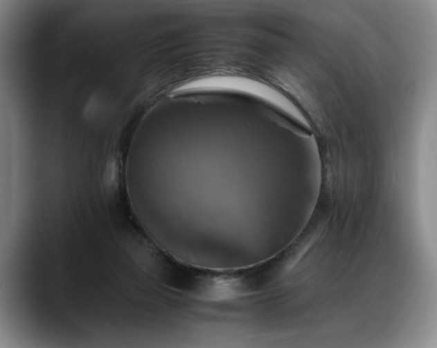 X0000088480165200705291634