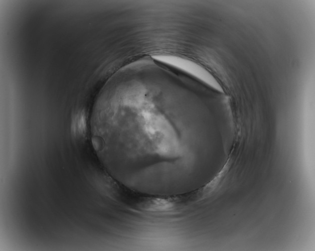 X0000088480166200705291634