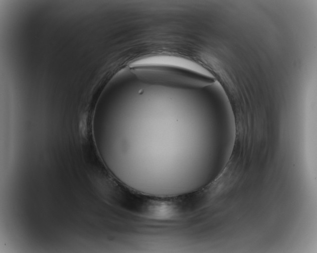 X0000088480167200705291634