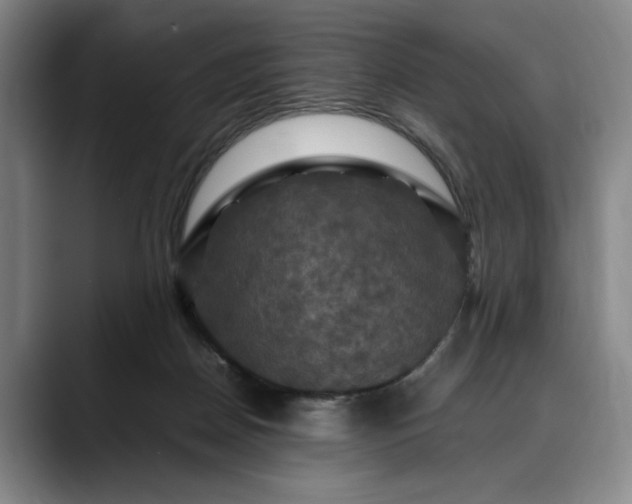 X0000088480170200705291634