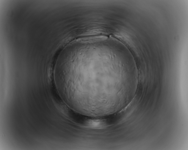X0000088480171200705291634