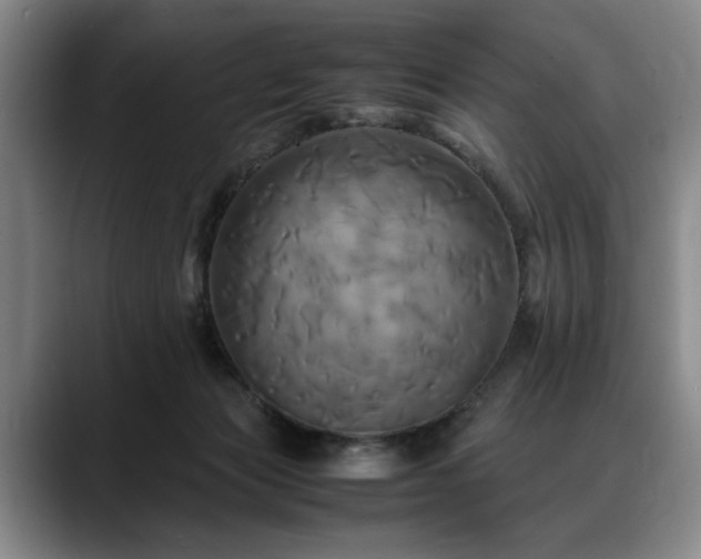 X0000088480173200705291634