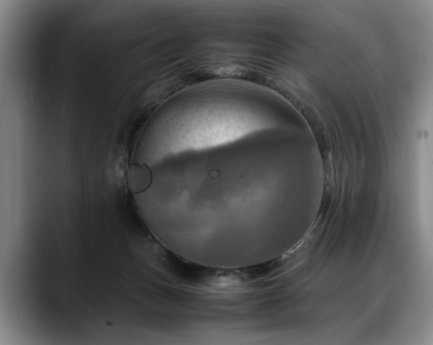 X0000088480175200705291635