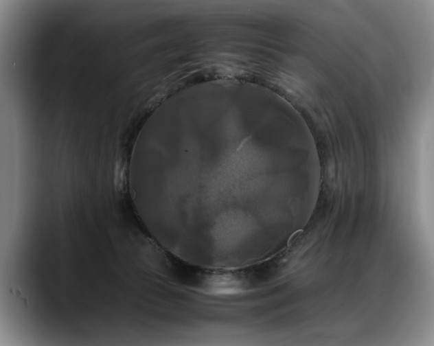 X0000088480177200705291635