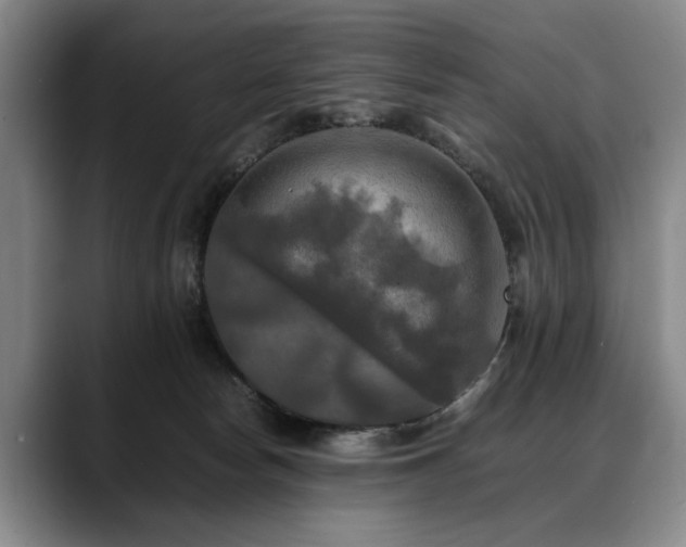X0000088480178200705291635