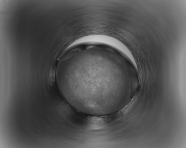 X0000088480180200705291635