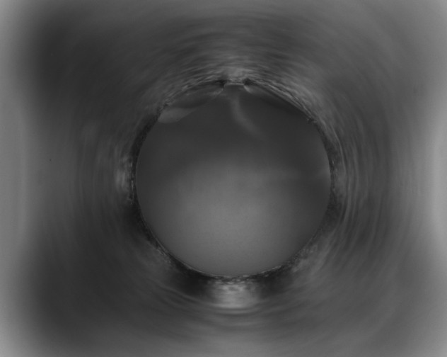 X0000088480181200705291635
