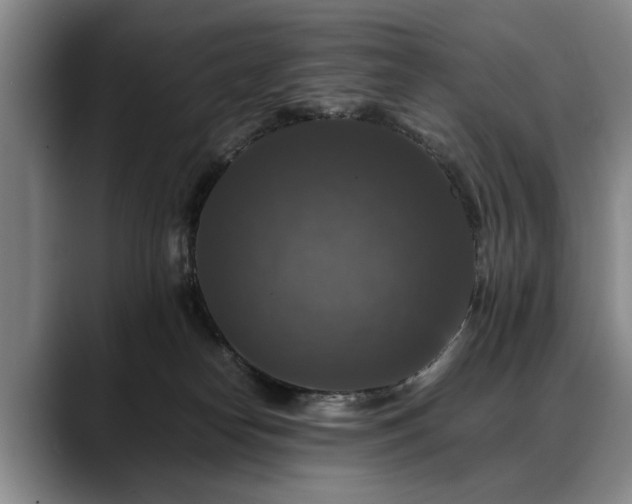 X0000088480182200705291635