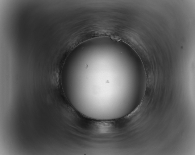 X0000088480183200705291635