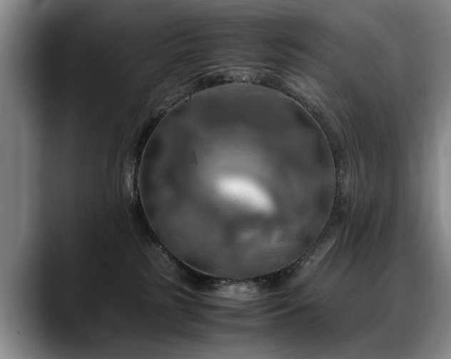 X0000088480185200705291635