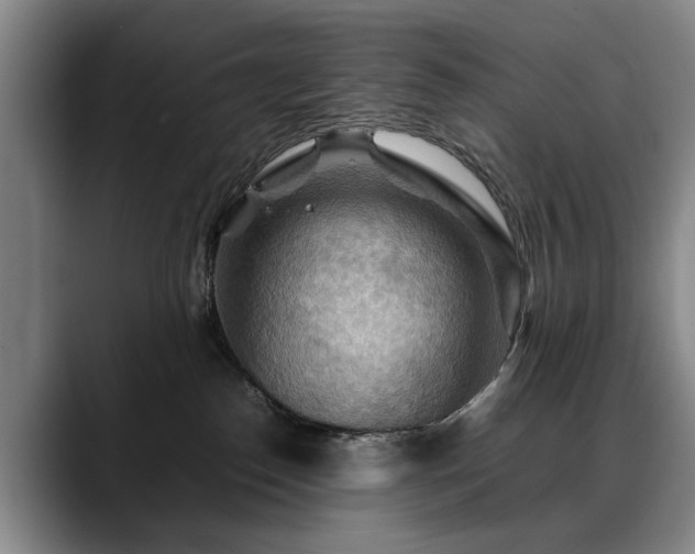 X0000088480186200705291635