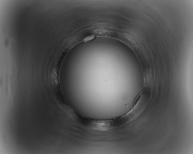 X0000088480187200705291635