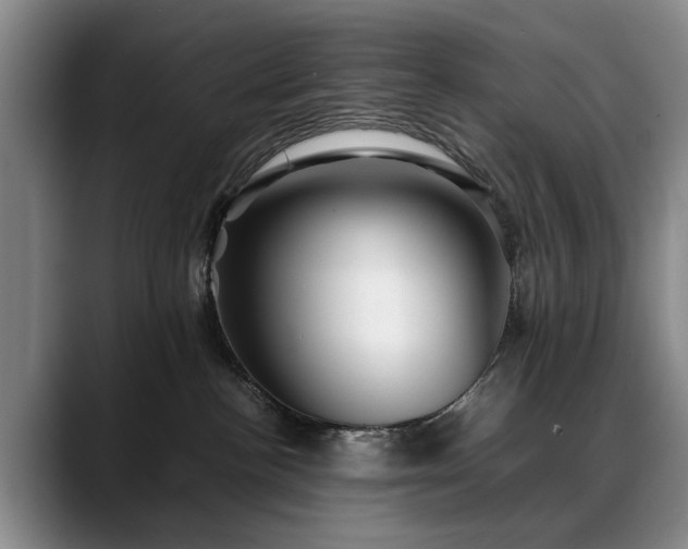 X0000088480188200705291635