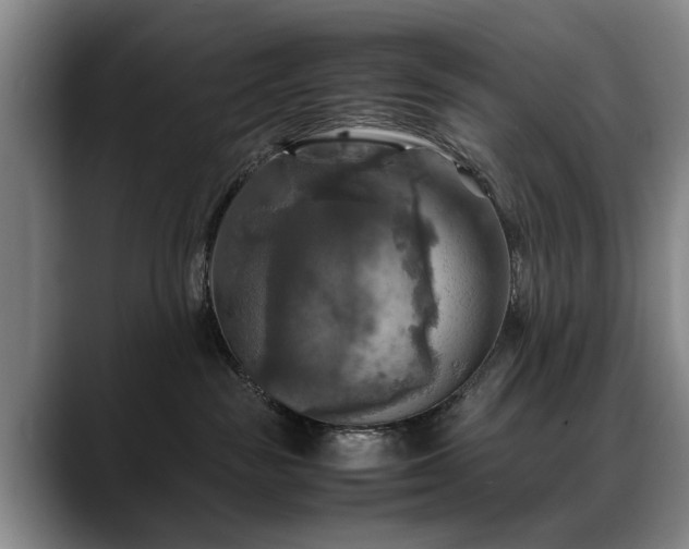 X0000088480189200705291635