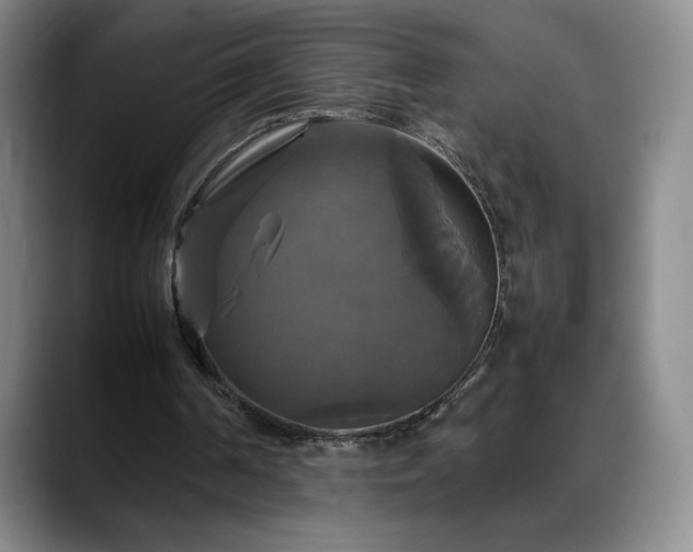 X0000088480194200705291634