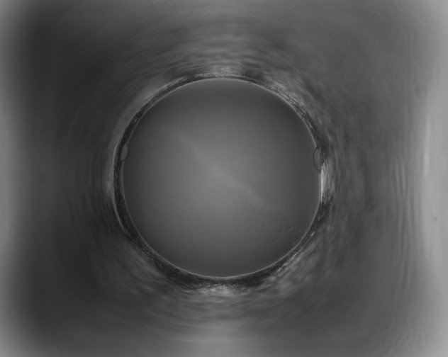 X0000088480195200705291634
