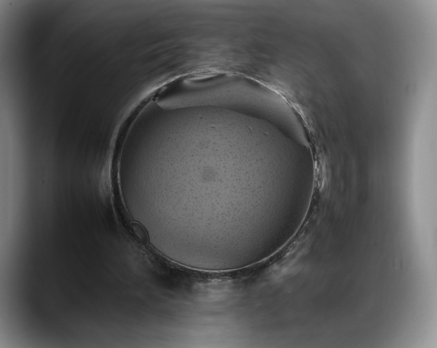 X0000088480196200705291634