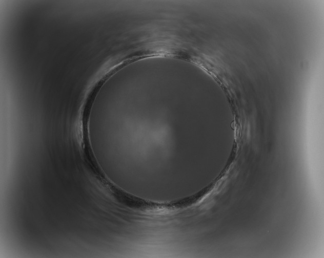 X0000088480198200705291634