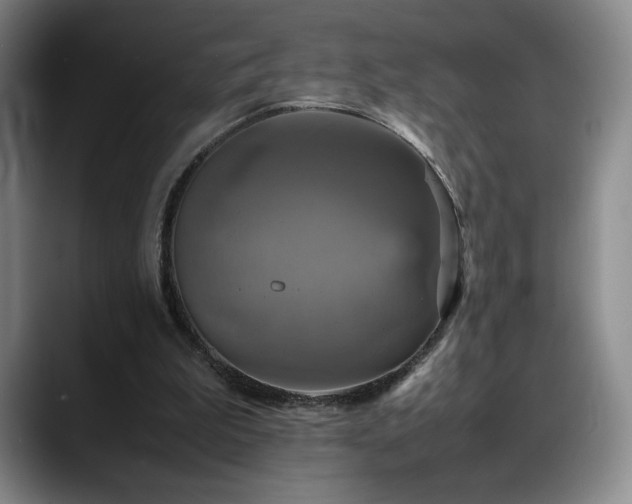 X0000088480199200705291634