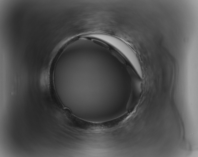 X0000088480200200705291634