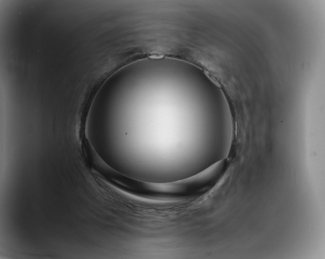 X0000088480201200705291634