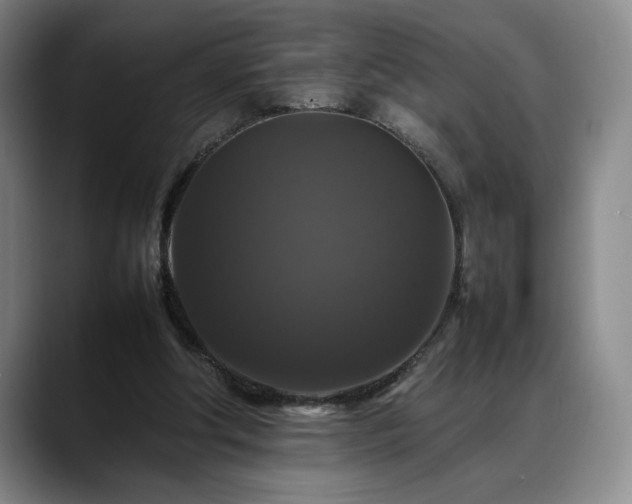 X0000088480202200705291634