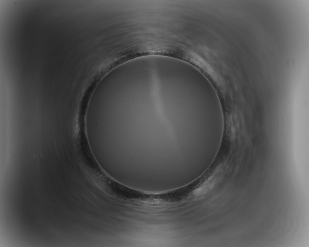 X0000088480203200705291634