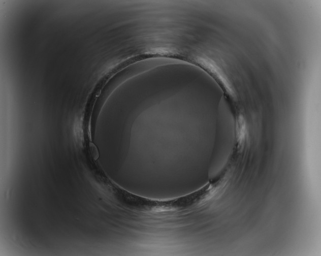 X0000088480204200705291634