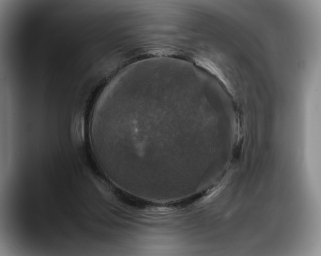X0000088480205200705291634