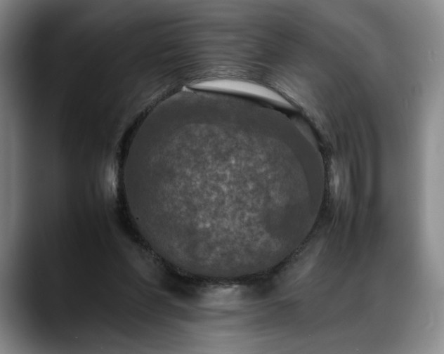 X0000088480206200705291634