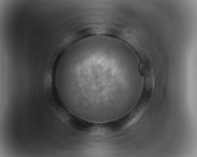 X0000088480207200705291634