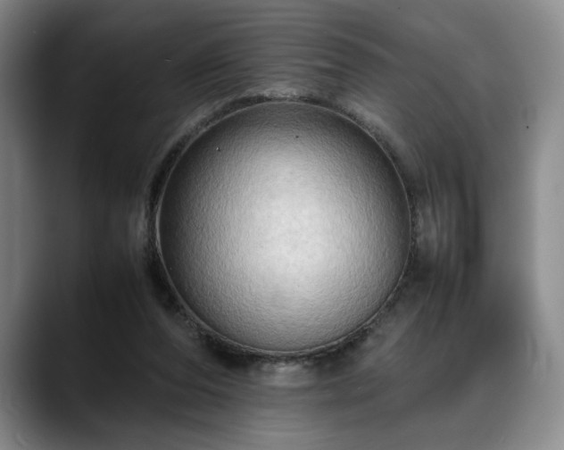 X0000088480208200705291634