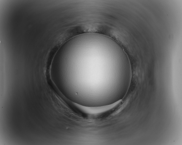 X0000088480209200705291634