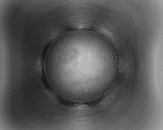 X0000088480210200705291634