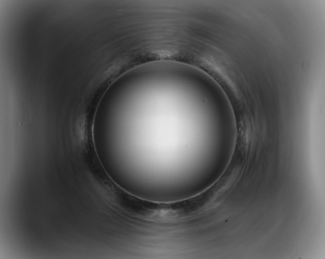 X0000088480212200705291634
