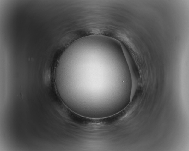 X0000088480213200705291634
