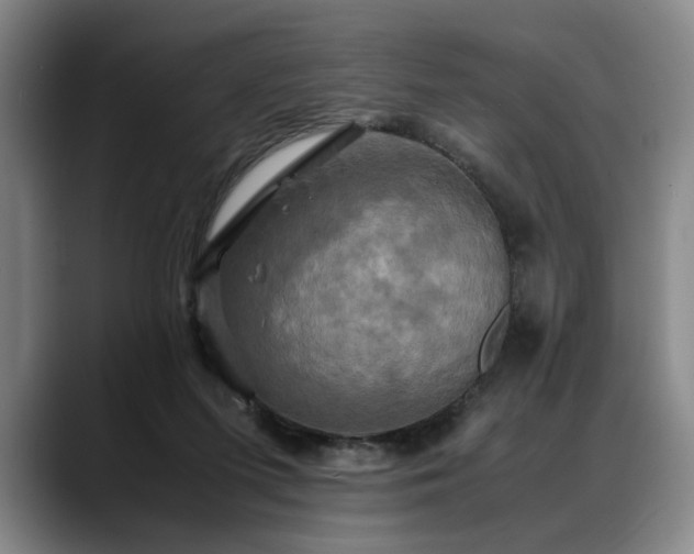 X0000088480215200705291634
