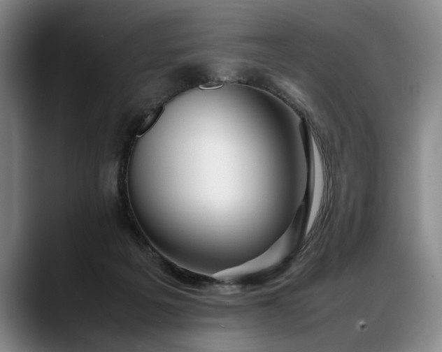 X0000088480217200705291634