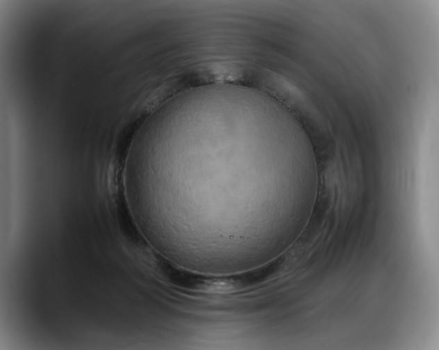 X0000088480218200705291634