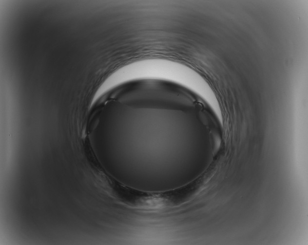 X0000088480219200705291634