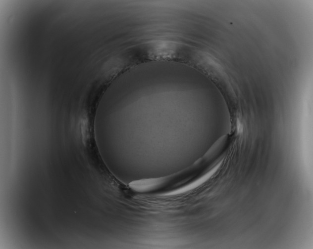 X0000088480224200705291634