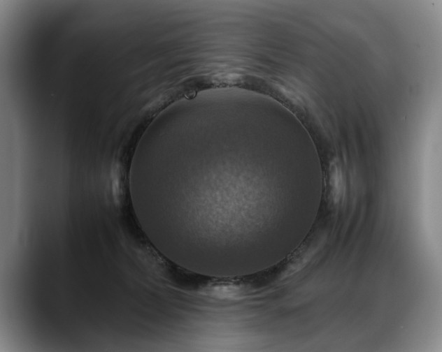 X0000088480228200705291634