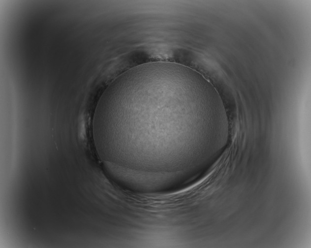 X0000088480229200705291634