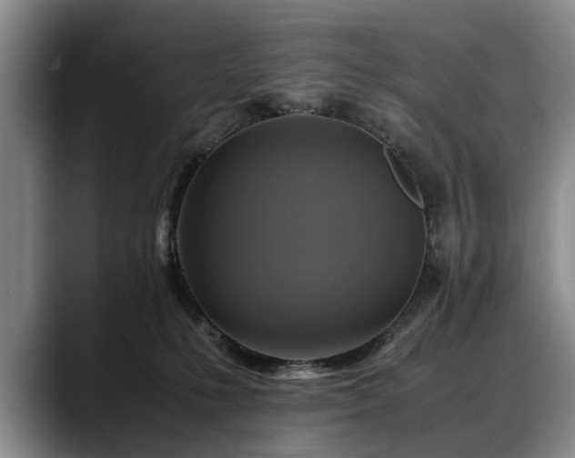 X0000088480231200705291634