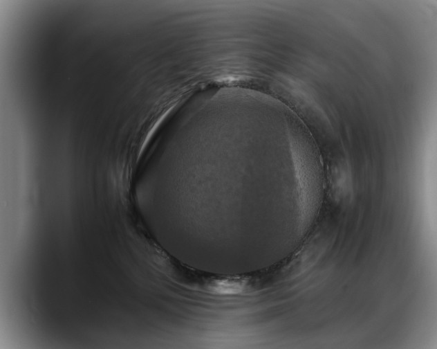 X0000088480232200705291634