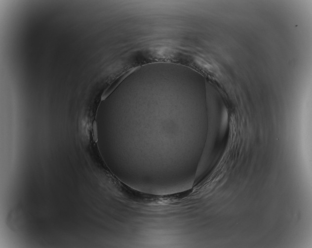 X0000088480235200705291634
