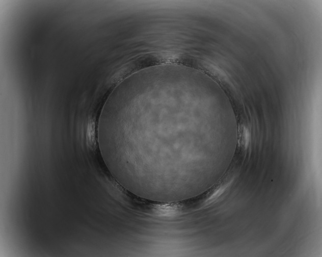 X0000088480238200705291634
