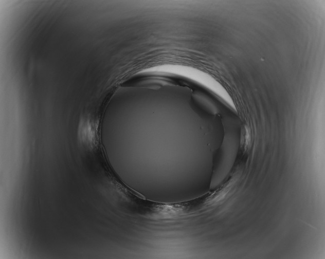 X0000088480239200705291634
